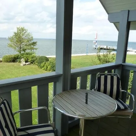 Seeschwalbe Classic 31 *